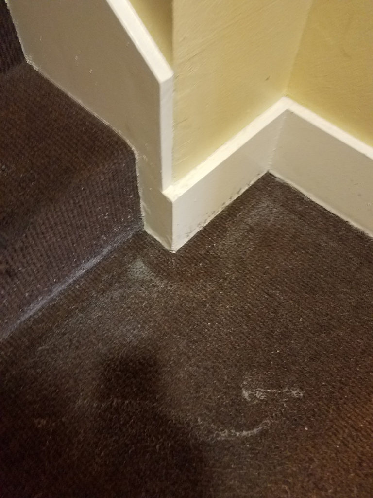 Flood Damage Install