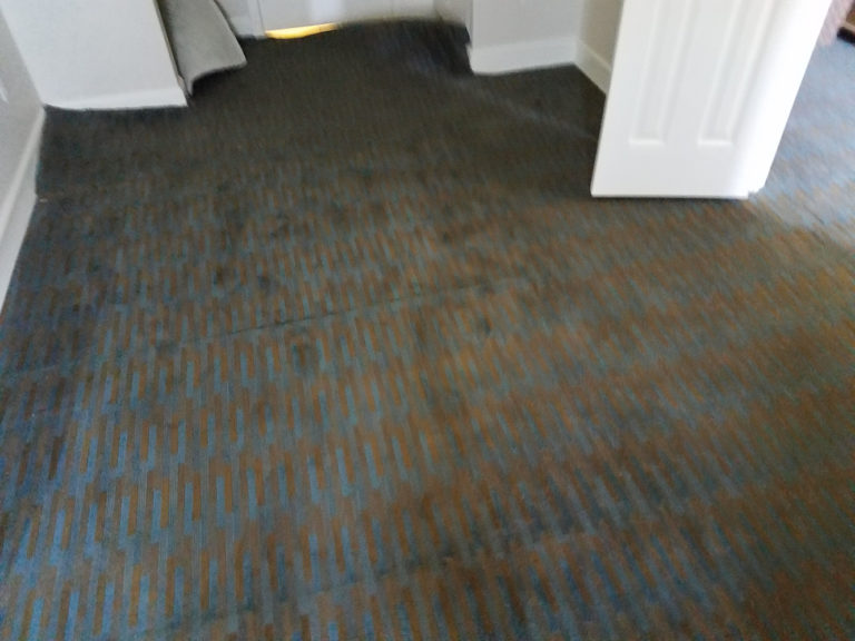 Carpet fan float from flood