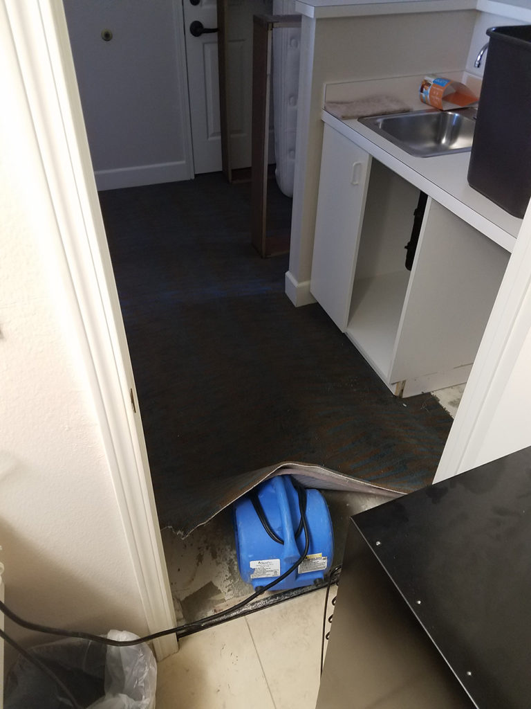 Carpet fan float from flood