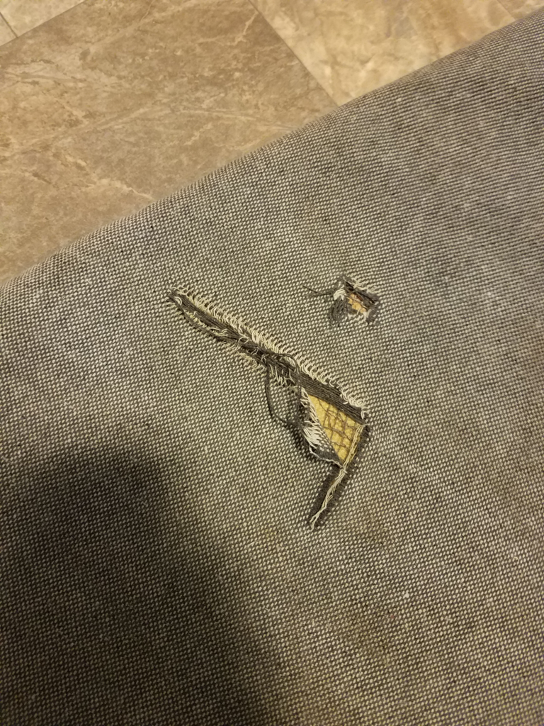 Rip in Carpet