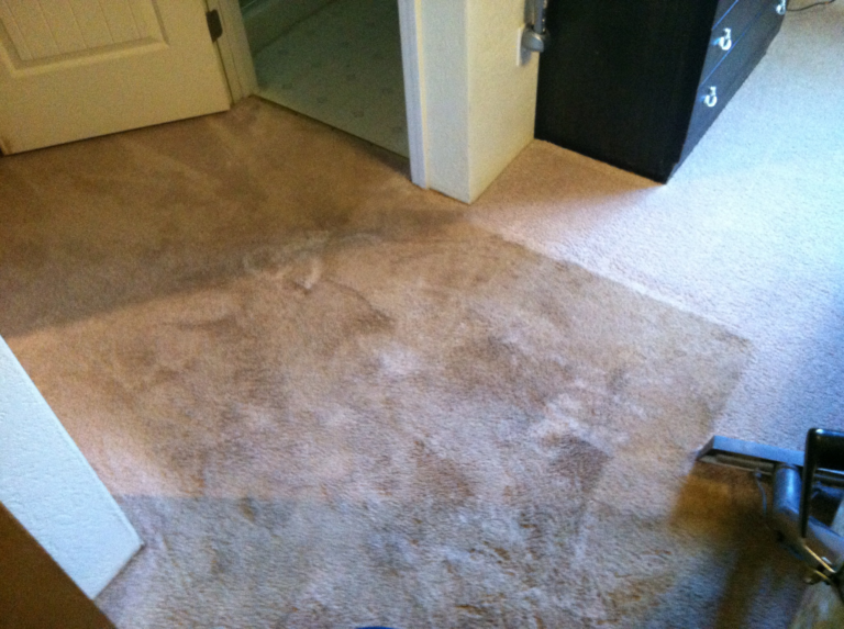 Tan carpet-before(very soiled 2)