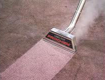 Clean line on Pink Carpet